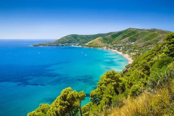 Buongiorno Cilento 7 Agosto 2025 - Detto autentico cilentano con paesaggio rurale