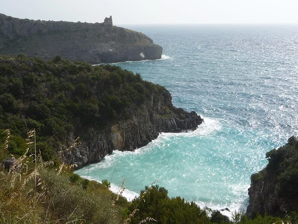 La splendida costa cilentana tra Palinuro e Acciaroli, dove la Via Silente costeggia il mare cristallino attraversando borghi di pescatori che conservano intatta l'atmosfera della Dieta Mediterranea, patrimonio UNESCO dell'umanità
