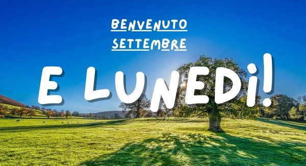 Immagine di copertina per: Immagini buongiorno lunedì 1 settembre 2025: le più belle da inviare