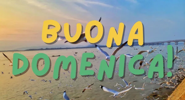 Immagine di copertina per: Buongiorno Domenica 31 Agosto 2025: Immagini e Frasi Social
