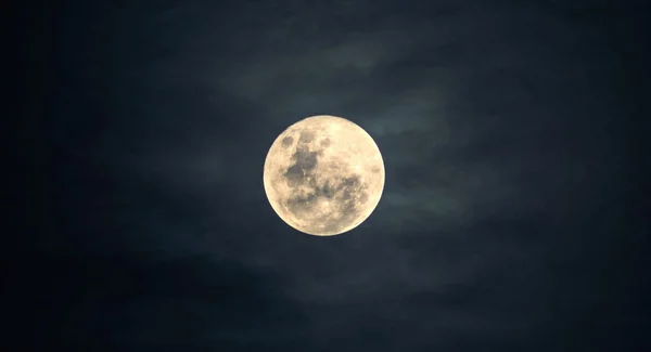Immagine per Buonanotte Domenica 24 Agosto 2025
