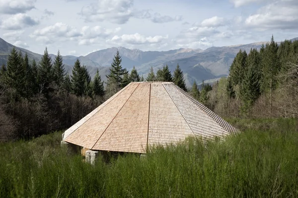 Immagine di copertina per: Finalmente Riaperto: Il Parco dell Anfiteatro di Arezzo che Tutti Aspettavano nel Cuore Verde della Toscana