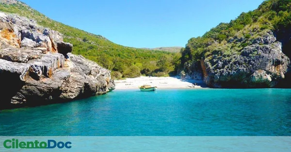 Immagine di copertina per: Cilento green: guida all’ecoturismo che incanta 