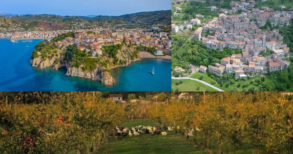 Immagine di copertina per: Spighe Verdi 2025: ecco i comuni del Cilento premiati per un turismo davvero sostenibile