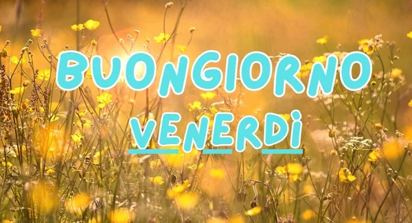Immagine di copertina per: Immagini Buongiorno Venerdì 5 Settembre 2025: Frasi Social