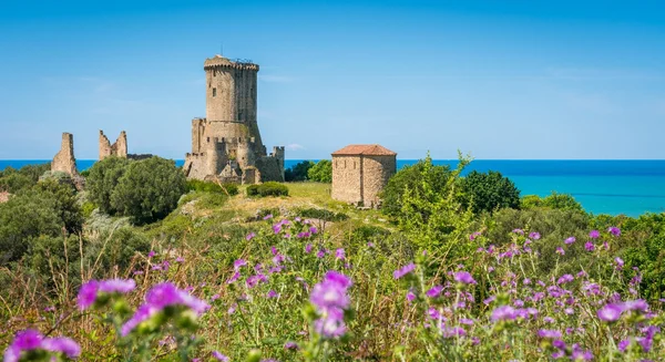 Buongiorno Cilento Lunedì 29 Agosto 2025 - Detto autentico cilentano con paesaggio costiero