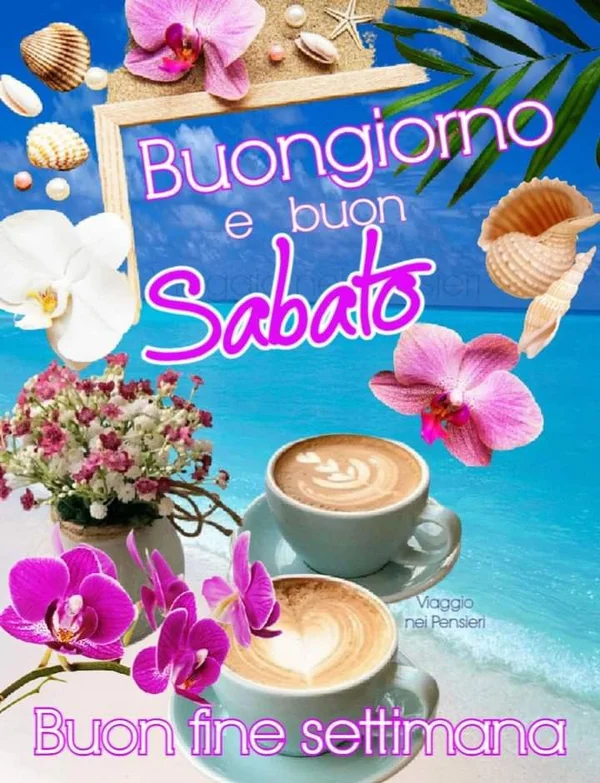 Buongiorno Cilento Sabato 16 Agosto 2025 - Detto autentico cilentano con paesaggio rurale