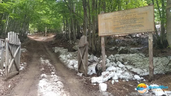 L'impegnativa salita sterrata verso il Monte Cervati, la vetta più alta della Campania a 1898 metri, circondata da paesaggi mozzafiato e boschi di faggi che in autunno si tingono di colori spettacolari, rappresentando una delle sfide più iconiche del percorso
