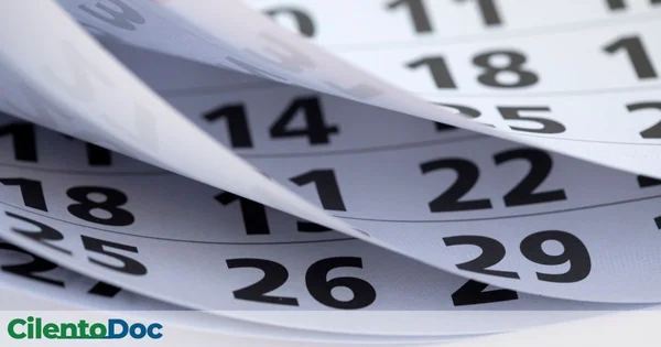 Immagine di copertina per: Sagre del Cilento ad Agosto 2025: Il Calendario Completo per un Viaggio tra Sapori e Tradizioni